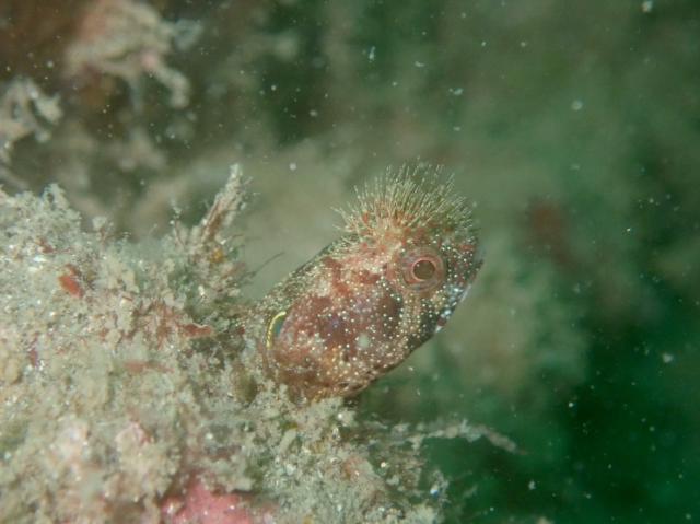 ３連休最終日！