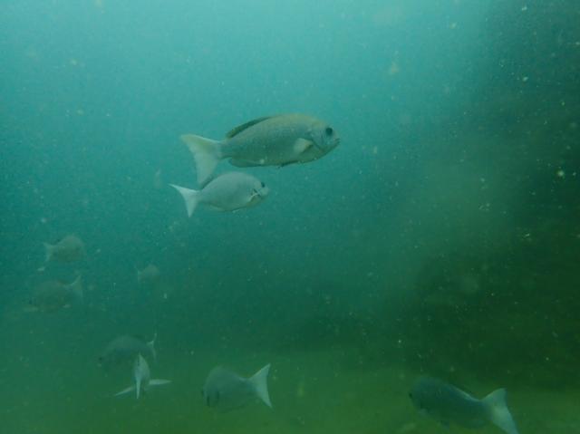 ３連休最終日！