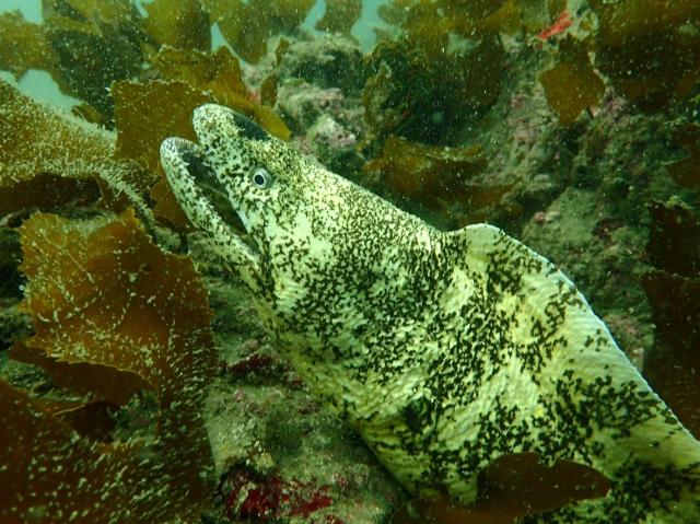 ３連休最終日！