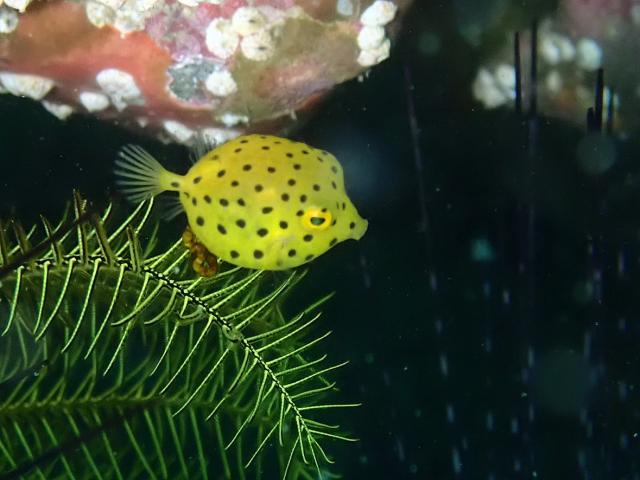 ３連休最終日！