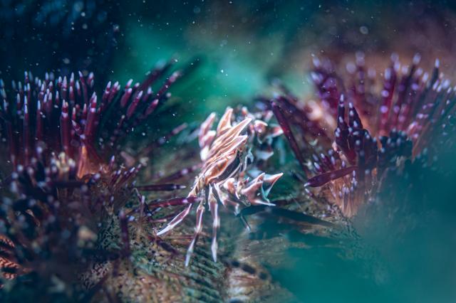 いいお天気で〜！！