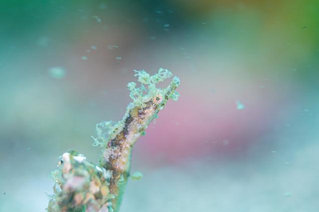 いいお天気で〜！！