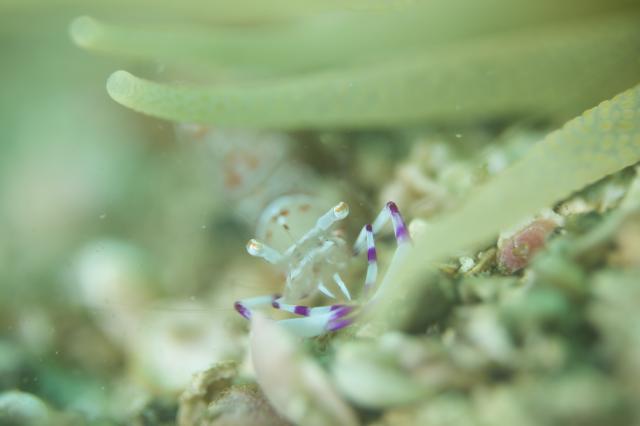 海況申し分ありません