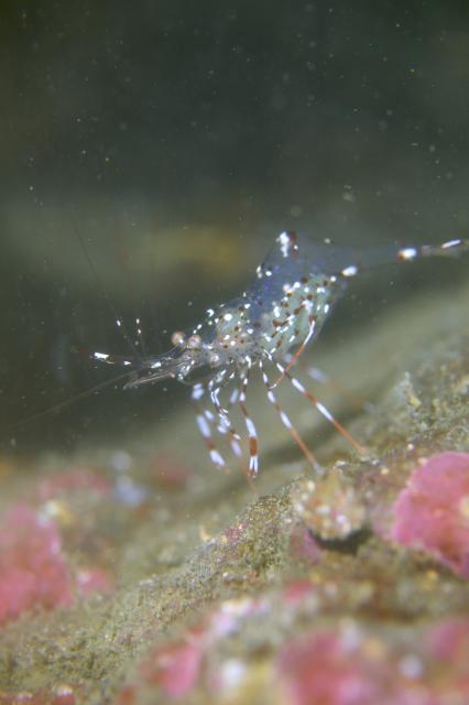 海況申し分ありません