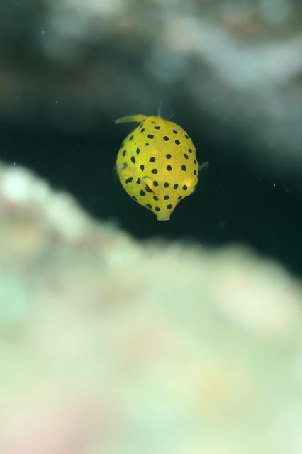 一気に綺麗に！