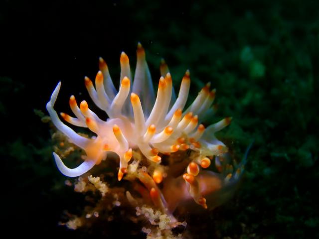 三浦も透視度良好！