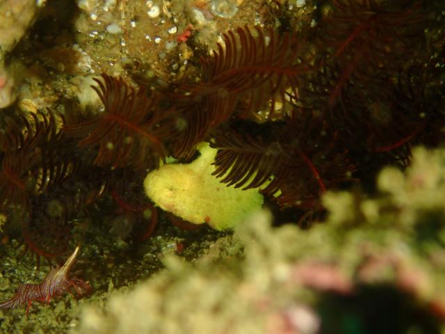 三浦も透視度良好！