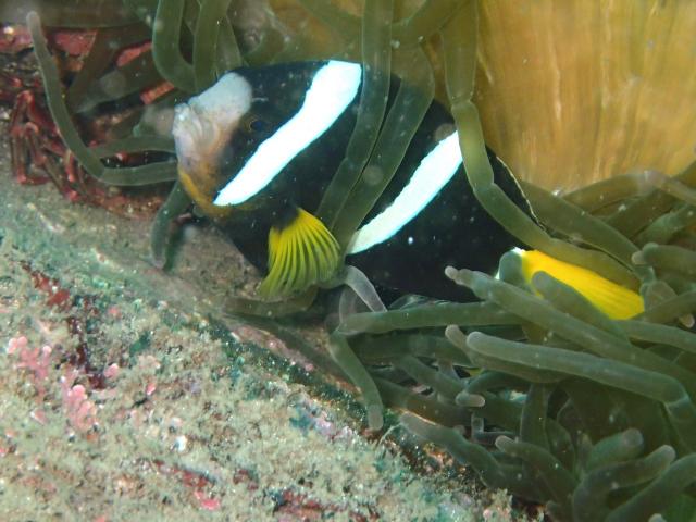 江の浦へ遠征してきましたー！！