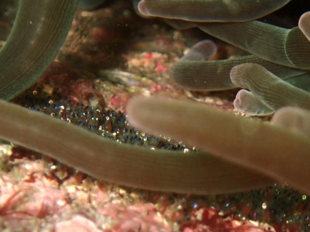 江の浦へ遠征してきましたー！！