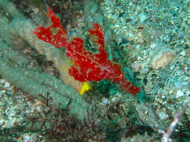 江の浦へ遠征してきましたー！！