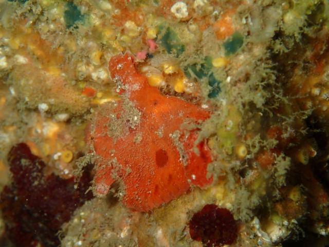 江の浦へ遠征してきましたー！！