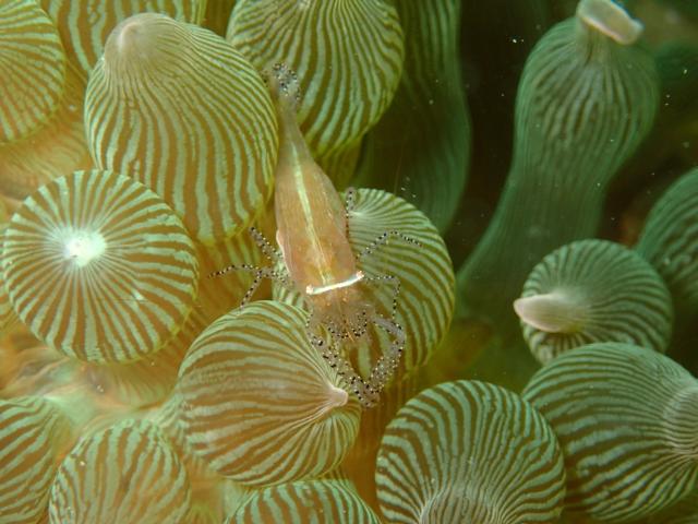 江の浦へ遠征してきましたー！！