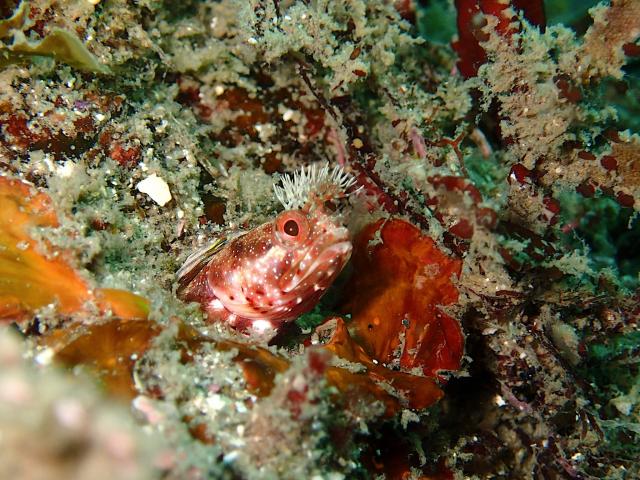 江の浦へ遠征してきましたー！！