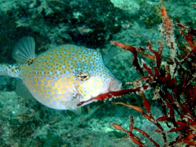 江の浦へ遠征してきましたー！！