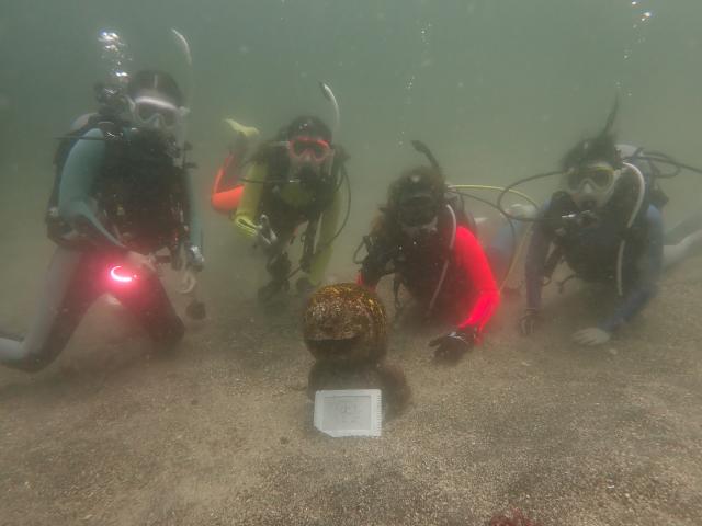 江之浦ファン＆タイドプールシュノーケル