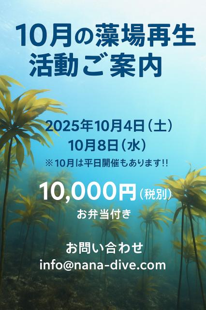 2025年10月！藻場再生活動のご案内
