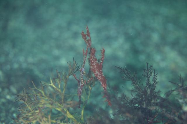 みんなで江の浦へ遠征です