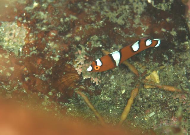 みんなで江の浦へ遠征です