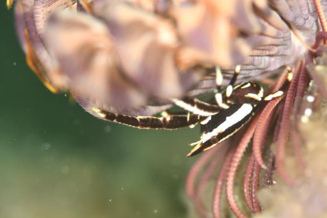 みんなで江の浦へ遠征です