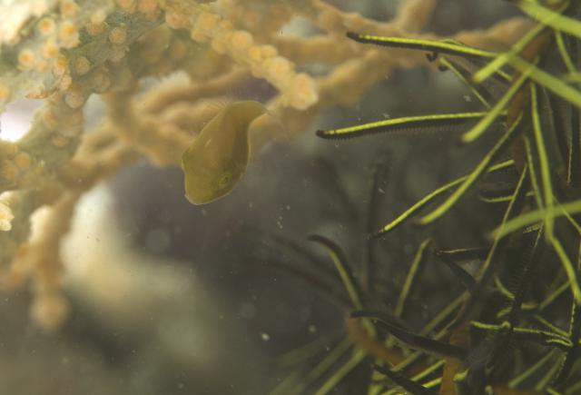 うねり強かったです・・・