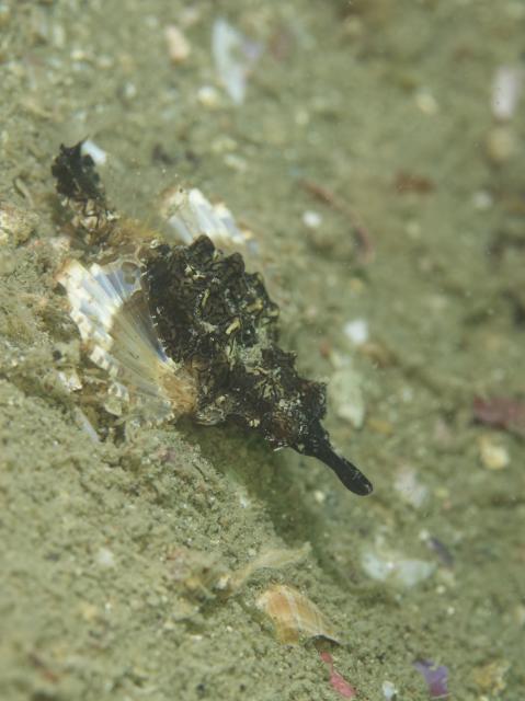 うねり強かったです・・・