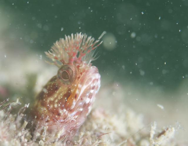 うねり強かったです・・・