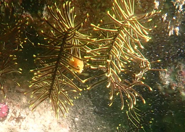 うねり強かったです・・・