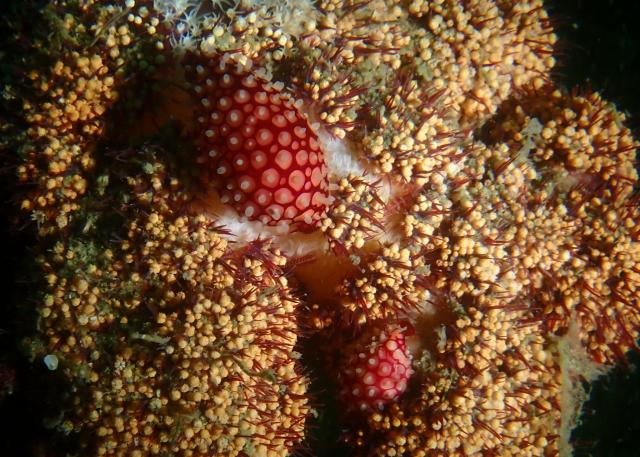 うねり強かったです・・・