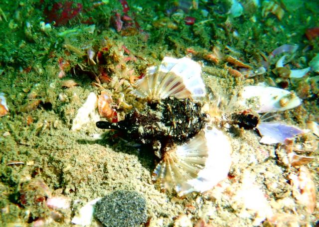 うねり強かったです・・・