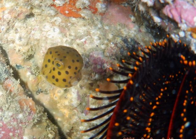 うねり強かったです・・・