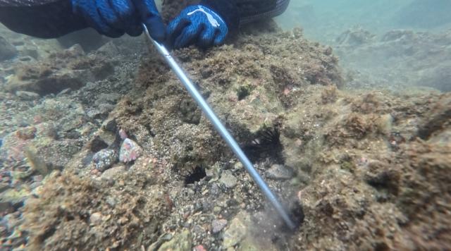 お天気が悪い中、藻場再生活動ありがとうございました！！