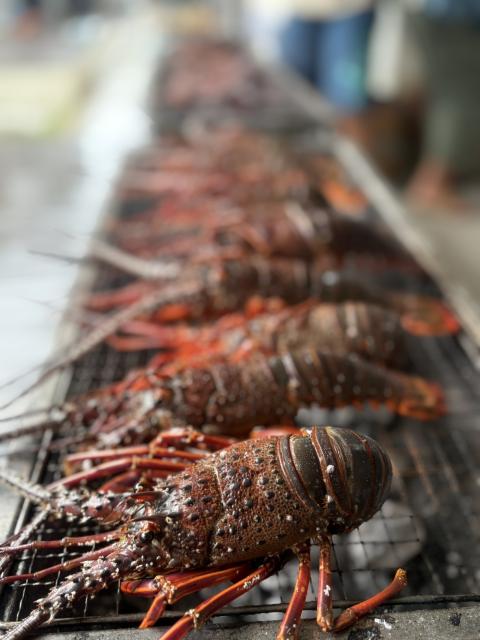 お天気が悪い中、藻場再生活動ありがとうございました！！
