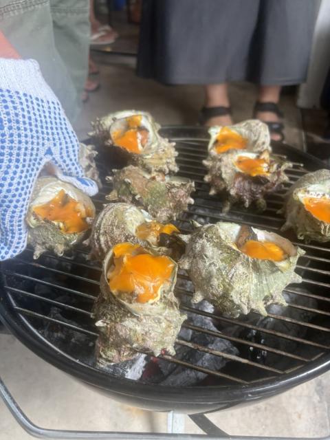 お天気が悪い中、藻場再生活動ありがとうございました！！