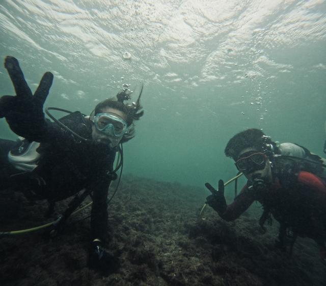 みんなあちこちでダイビング