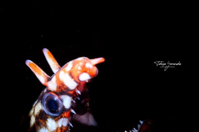 今日もみんなあちこちで活躍中！