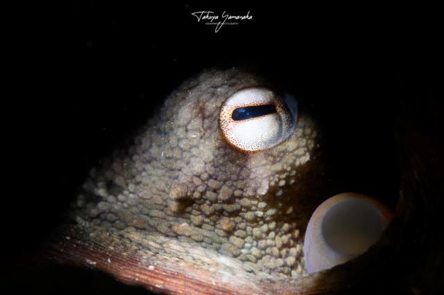 今日もみんなあちこちで活躍中！