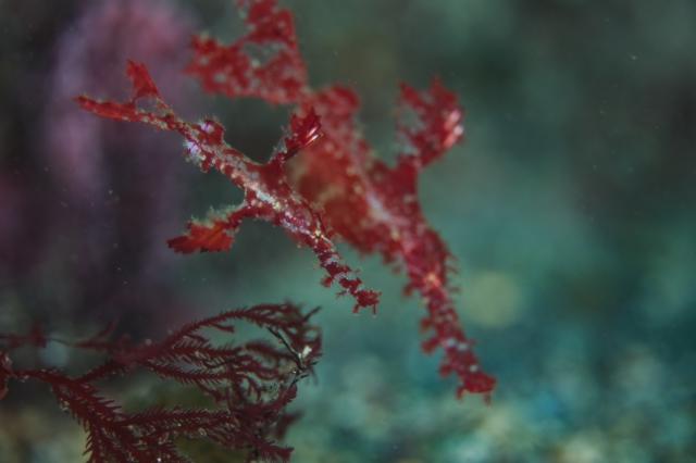 今日もみんなあちこちで活躍中！