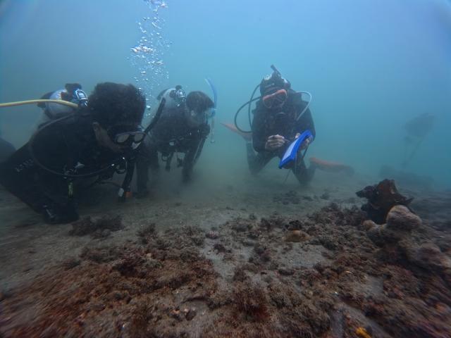 今日もみんなあちこちで活躍中！