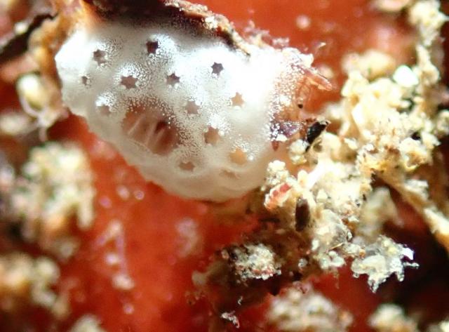 今日もみんなあちこちで活躍中！