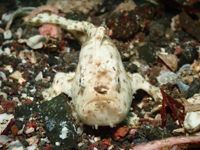 今日もみんなあちこちで活躍中！