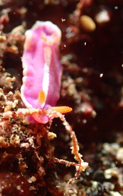 今日もみんなあちこちで活躍中！