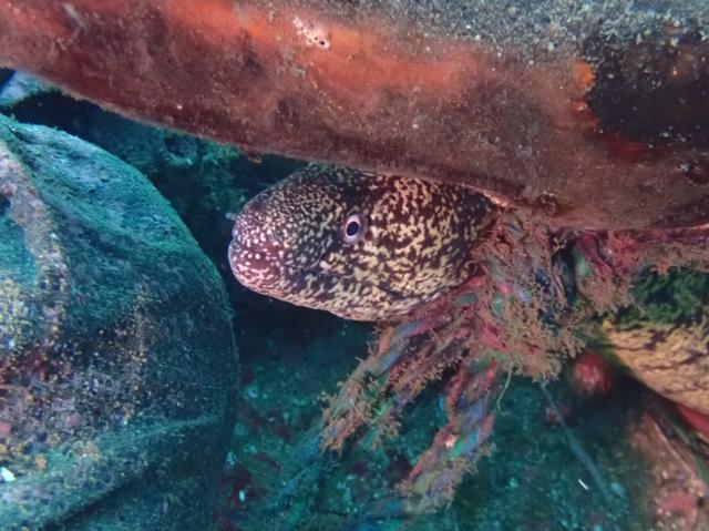 今日もみんなあちこちで活躍中！