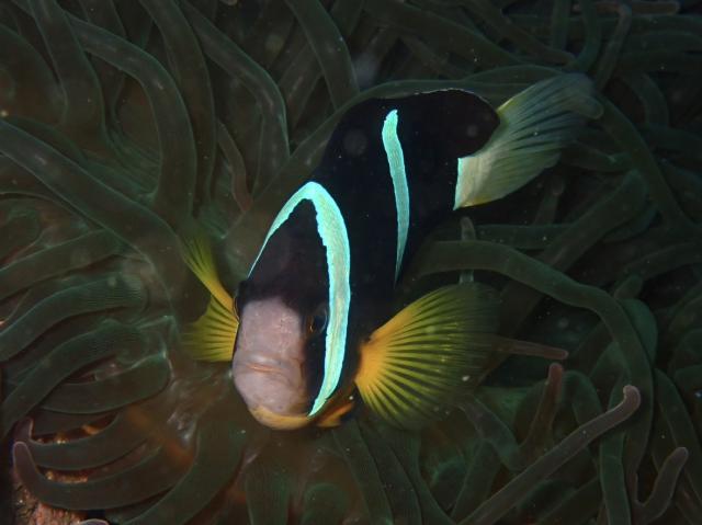 今日もみんなあちこちで活躍中！