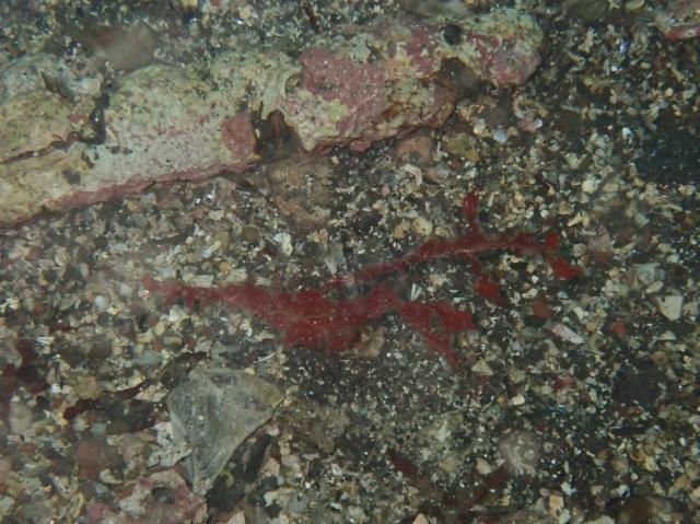 今日もみんなあちこちで活躍中！