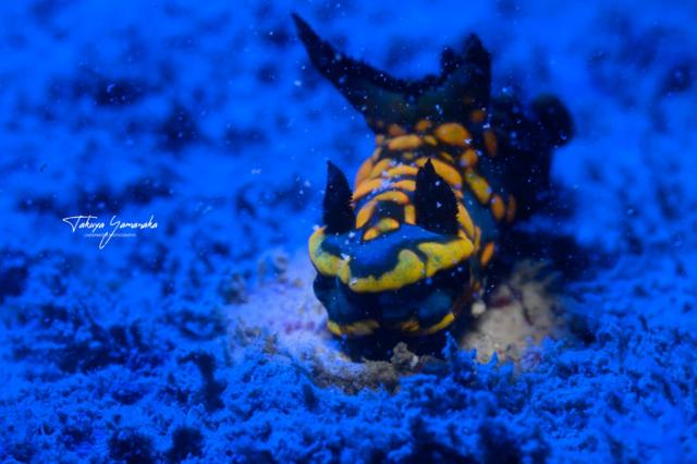 週末のような日でした〜！