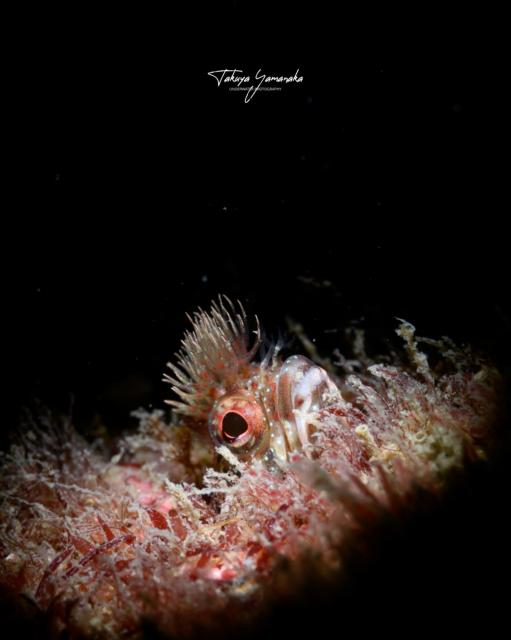 週末のような日でした〜！