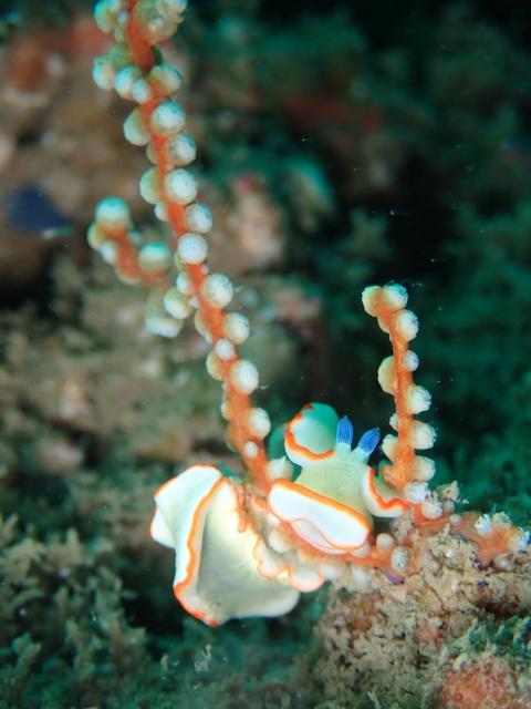 週末のような日でした〜！