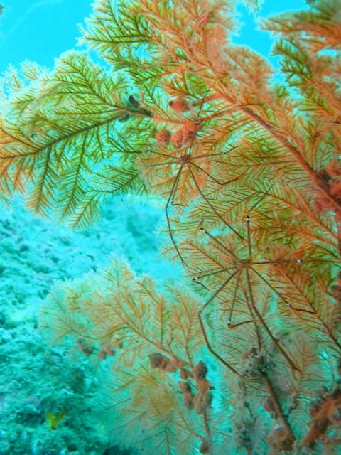 週末のような日でした〜！