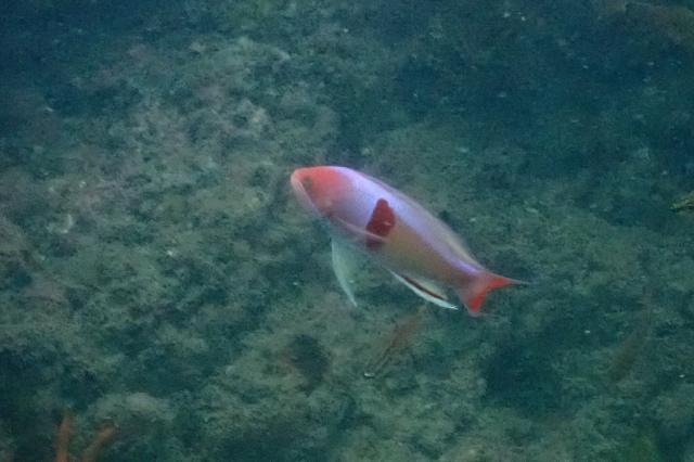 週末のような日でした〜！