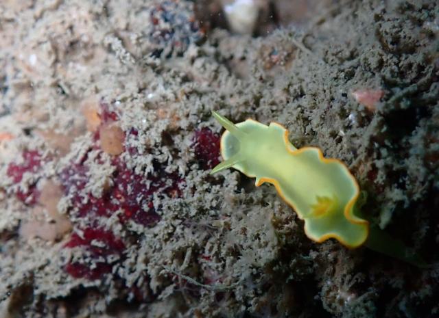 週末のような日でした〜！